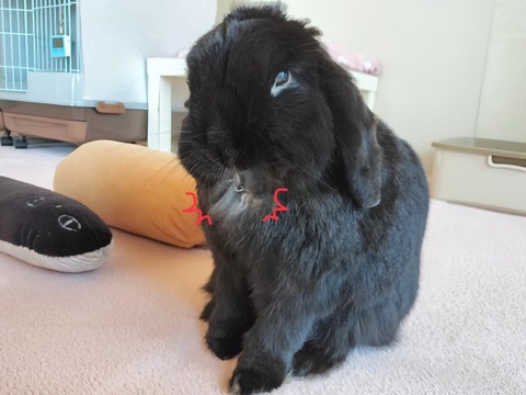 C0DD51D5-8BB9-4692-B01A-CD745A074DA4