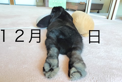 4F4A1593-6BAF-43DD-A954-2F9F346F7B78