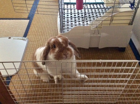 0D786FA5-0E6E-4D46-8023-E33232C7F6CB