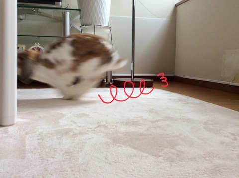 E3276916-49C2-4DBD-AC97-FE9D4F102B09