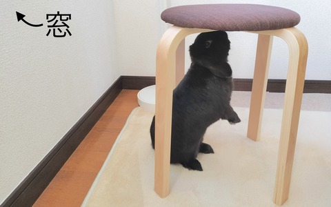 09D0D254-77F7-475C-8A7A-E528D9609D83