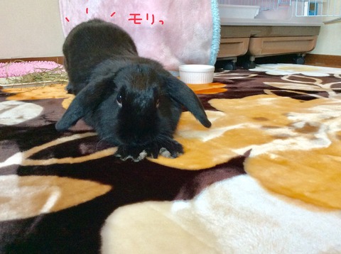 C17F32BE-9D07-40A2-99FB-8F954C9BF5D9