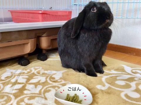 35BA4129-98FE-42DB-9C55-AA888D3587D5