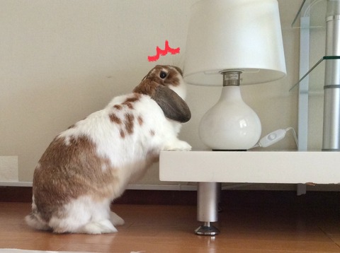 DB12FCF7-AEA8-4851-92A8-9B497C9169BC