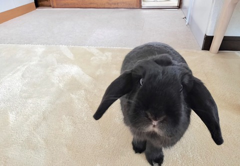 407D2A1B-B063-49B1-84BA-978987479B92