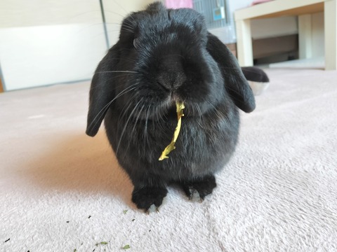 A5FA1B93-FED4-475D-A6F7-3327B0E167A5