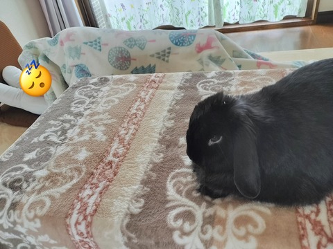 4B728326-4F78-41F9-A5AD-9E23395591F0