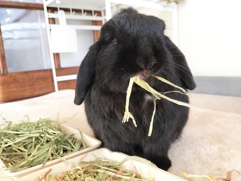 921262C6-4DE0-4144-A7D5-B765AFBAE024