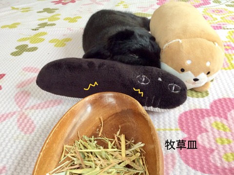 A5CBE1E2-806B-4699-9117-04529E5BE339