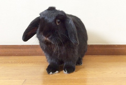 34B35594-EC56-4D35-BC08-28895DB61540