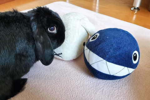 A534D760-23FA-4715-9B50-2F7CBE6D6EBD