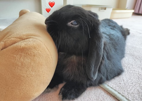 8CB87523-C2B6-478E-8265-3B0D910015F7