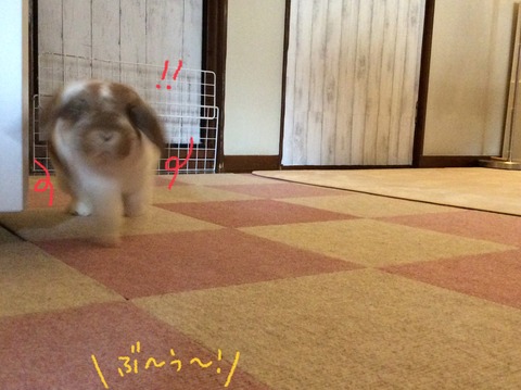 803C349D-3CA4-4C50-BA76-C4B9251E6523