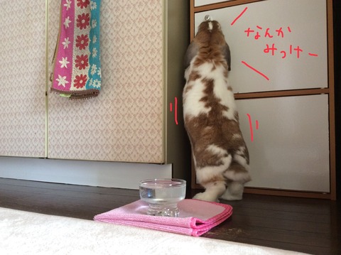 A65E40D4-0EBD-437E-A59C-D918C4738906