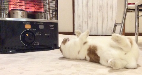 0204091D-C14D-459F-B83E-DD43761A1B89