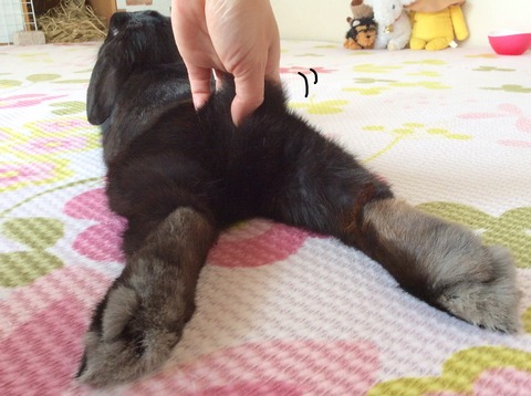 DECA97EF-0144-4073-AF24-77F5AF2B3690