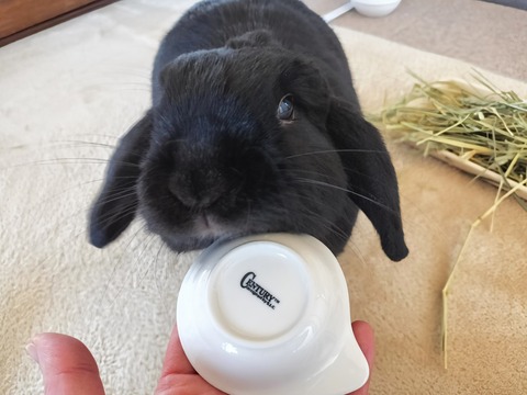 1CF9DBBB-EDDD-4E12-9D99-C855CE62A432