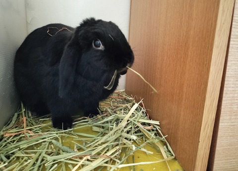 F5D1AB39-EFCC-4EA6-B9F4-4A575ADD8515