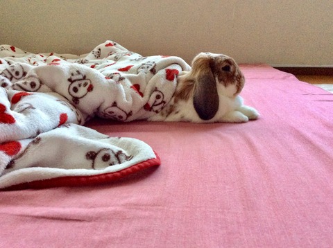 4EC0543E-C35E-4207-A481-9360AE5EAE4D