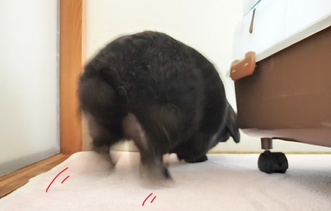 D7D1C62B-DABD-4A85-8087-896ED2677C39