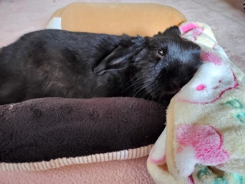 7593EBBC-B0E8-4244-A669-8B9E2D355116