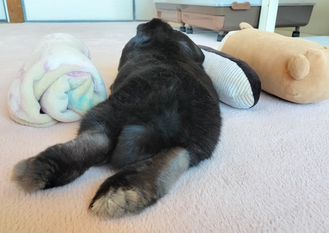 8FAA0895-1DBE-4950-A778-08E6082D3089