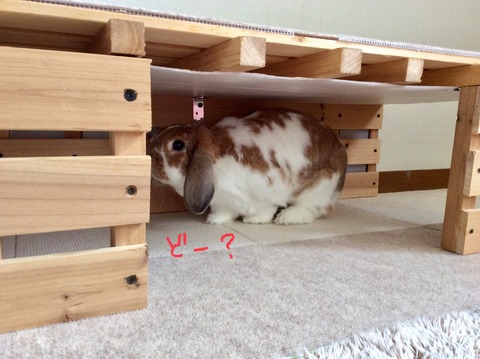 25CBC87E-BE52-40A4-92B6-F1A759D3A9A5