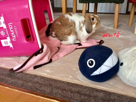 5804A9BD-967E-4956-B1D8-83BA685A987E