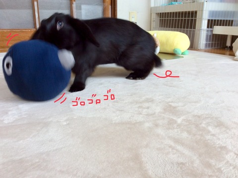 241A0322-251D-4FC8-9BB3-8C99DB3238A8