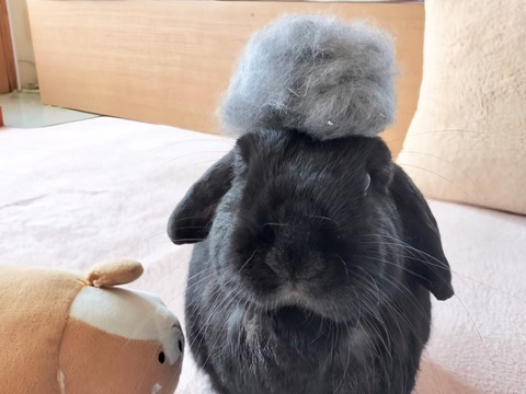 A9D9AFB4-B64B-48EF-8A2D-59DE7123B0E8