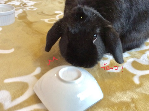 E69F68AF-E3FA-414C-8AD4-563747D934A0