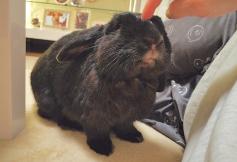 F4763046-7B13-40FB-B94A-55979C0FA5F0