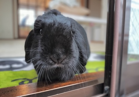 7C0F2272-6BC2-4468-81A5-A548C60EAD05