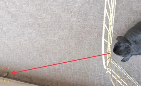 B42C5880-CDA1-4530-8520-B5975184C24C