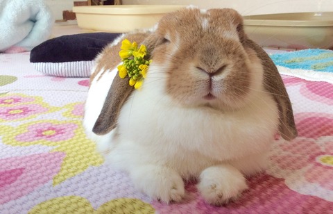 9279F60A-F2B8-4834-AFA7-FA1BD8F344EB