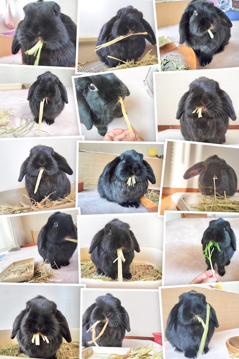 FEAE70EA-062E-4CFB-82A2-44D37B5AC4F2