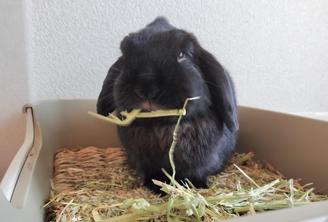 9868D529-5986-4FE7-9DB5-12169DB1DB90