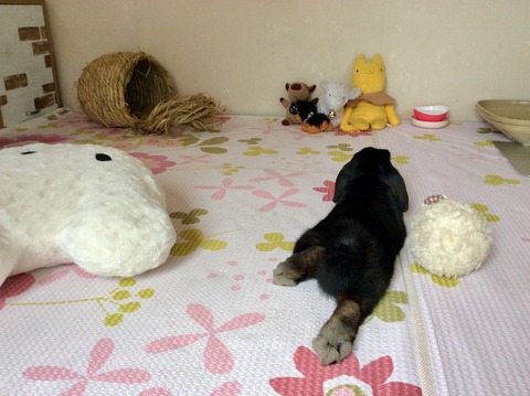 A81179E5-7D97-4EA6-B746-B4A2D22D5EB1