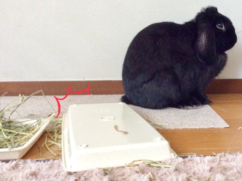 08E7CA38-BAF3-4AE7-9510-C7E8E78A115B