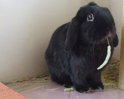 23053F2A-654D-4510-86CE-C41FC22D3E07