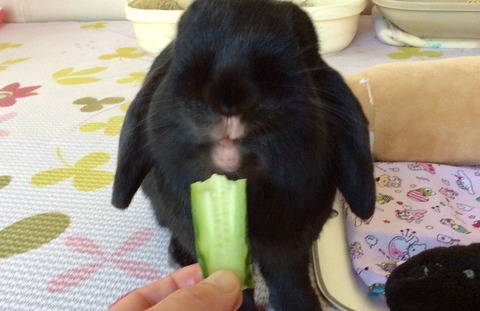 FF01ED2D-8580-4565-864D-95CF3DB8A8B7