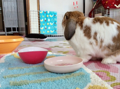 E90D3C73-1C85-4E24-A887-23EC0FBD0723