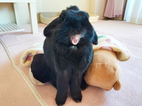 70334D81-BA0C-48E5-9FA3-819D478E9BC1