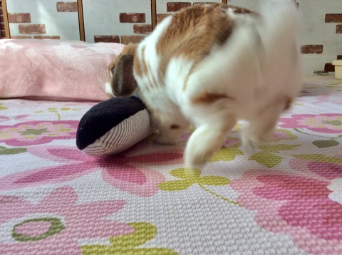 45D5DCFE-51E5-4627-8C77-AD57429C9FFA