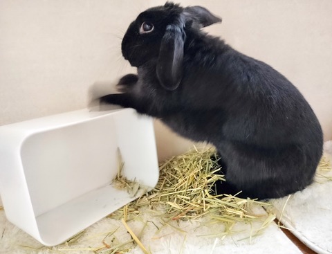 240F818D-D689-4899-B79B-9217BA797FC7