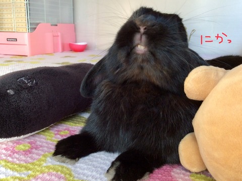 839D14B6-2839-471D-9AF7-5E06906CA77F