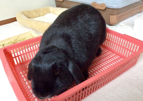 313B6557-9DA1-4418-885E-AE1245FF33FE