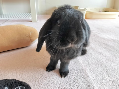 B0105B78-3169-4B71-AC7F-1A0C063F4CCF