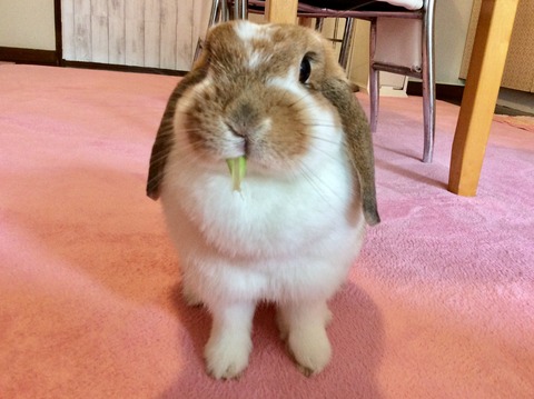 F534BBAE-B4C8-44C5-8B11-AF8A5E311937