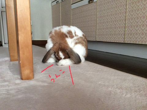 2BC59237-1FFA-464C-9F16-6506E049FD43